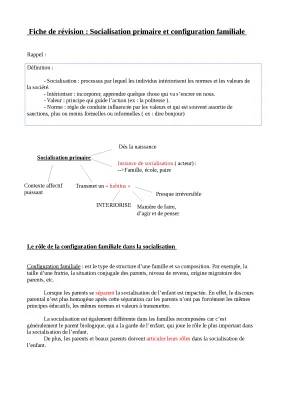 Le rôle de la famille et des configurations familiales dans la socialisation