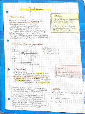 Réaction du corps après un effort physique - Évaluation SVT 5ème PDF