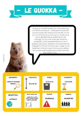 Tout sur les Quokkas: Bébé, Taille, Habitat et Plus