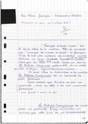 Résumé et Analyse du Malade Imaginaire pour Toi !