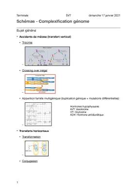 La complexification des génomes : Transferts horizontaux et anomalies de la méiose expliqués