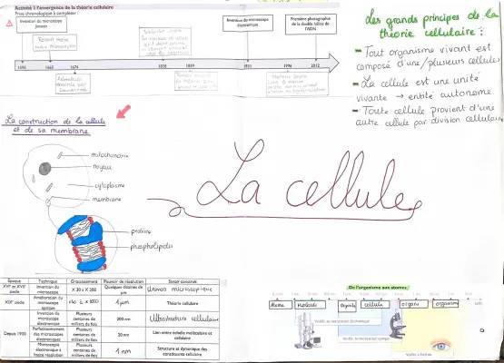 Découvre la Théorie Cellulaire et les Microscopes !