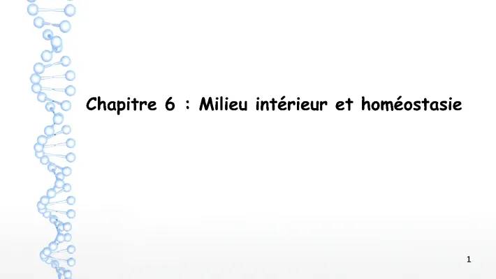 Découvre les Reins : Leurs Fonctions et l'Équilibre Hydrique