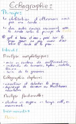 Échographie Prostate Normale et Échographie Vésico-Prostatique : Est-ce Douloureux ?