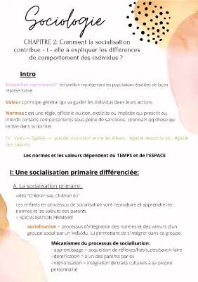 La Socialisation et Ses Différences: Comment Expliquer les Comportements Sociaux?