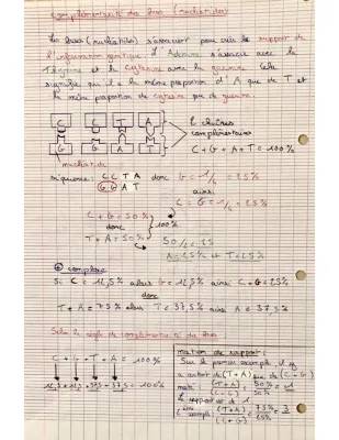 Complémentarité des Bases ADN, ARN et Information Génétique - Cours et Exercices Corrigés