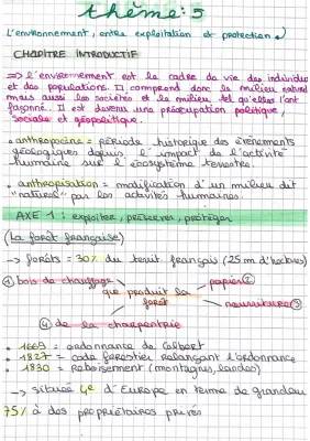 Fiche de Révision HGGSP Thème Environnement - Terminale PDF