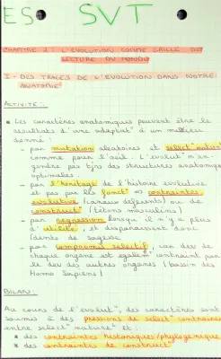 L'évolution comme grille de lecture du monde : Exos, Cours et Fiche de Révision