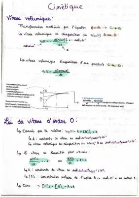 Comprendre la Vitesse de Disparition et Temps de Demi-Réaction