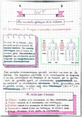 Les Anomalies Chromosomiques et la Méiose: Types, Consequences et Schémas