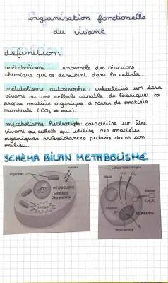 Organisation Structurale et Fonctionnelle de la Cellule - TP Seconde SVT