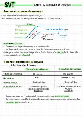 Découvre la dynamique de la lithosphère : Fiche de révision et quiz pour 1ère Spé SVT