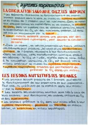 Les Systèmes de Transport et Nutrition chez les Animaux - SVT 5ème et 6ème