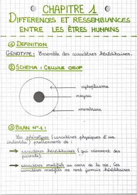 Fiche de révision SVT 3ème : Caractères Héréditaires et Individuels