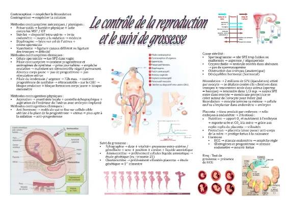 Les Méthodes de Contraception et le Suivi de Grossesse