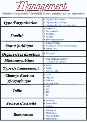 Tableau de Caractérisation d'une Organisation STMG - Exemples et PDF