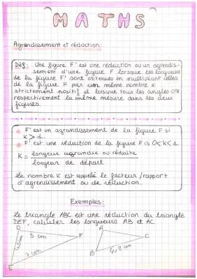 Exercices - Agrandissement et Réduction de Figures CM2, 3ème et 4ème PDF