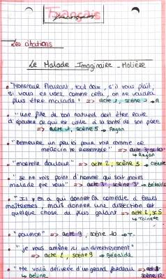 Citations Le Malade Imaginaire PDF et Résumés Scène par Scène