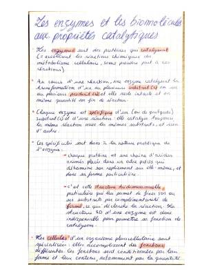 Les Enzymes et Leur Rôle: Cours, PDF, TP et Fiches de Révision