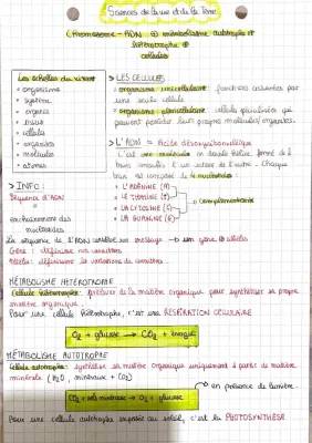 TP Seconde SVT : Métabolisme Cellulaire et ADN - Exercice Corrigé et Cours PDF