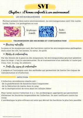 Comment Limiter les Risques de Contamination par les Microorganismes Pathogènes