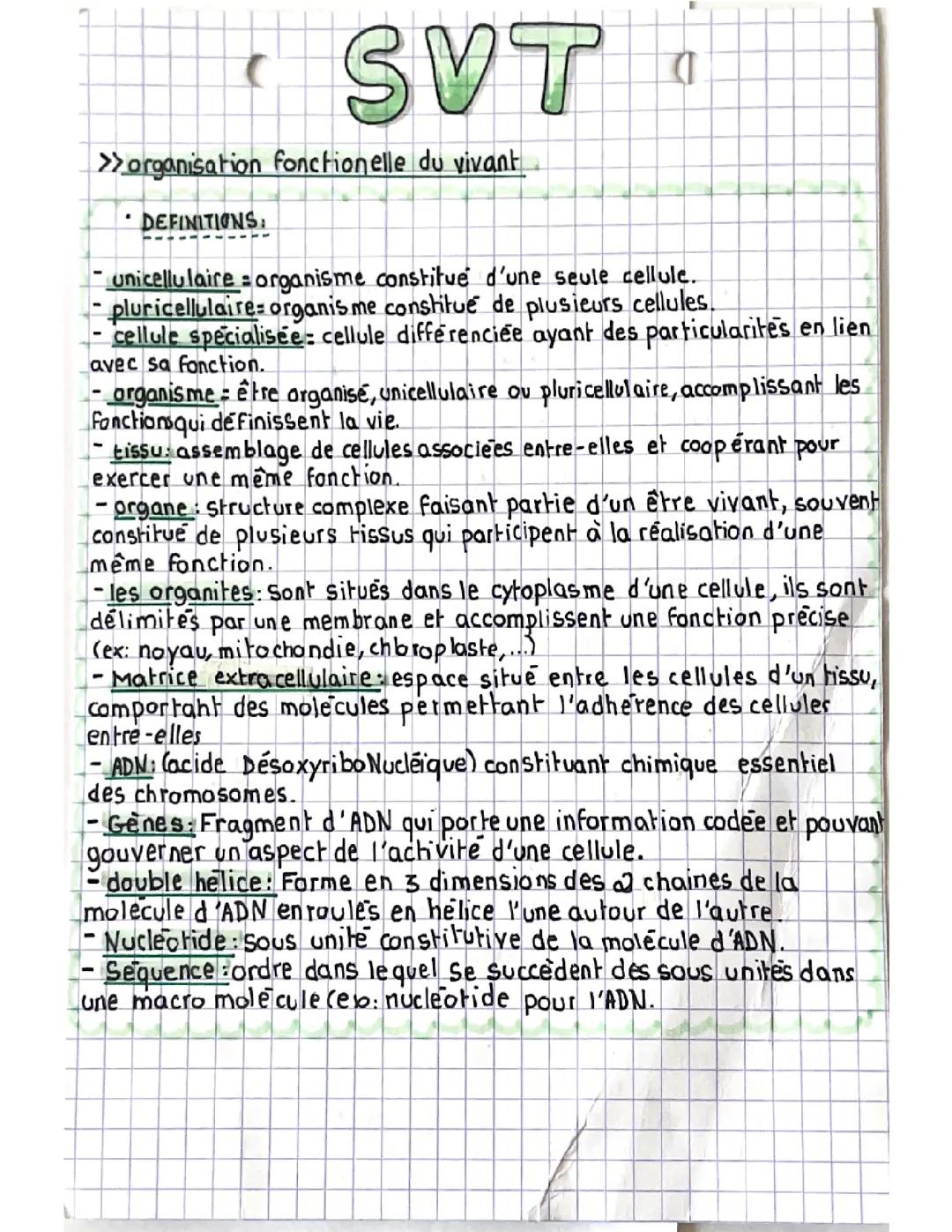 Leçon (partie 2) : l’organisation fonctionnelle du vivant 