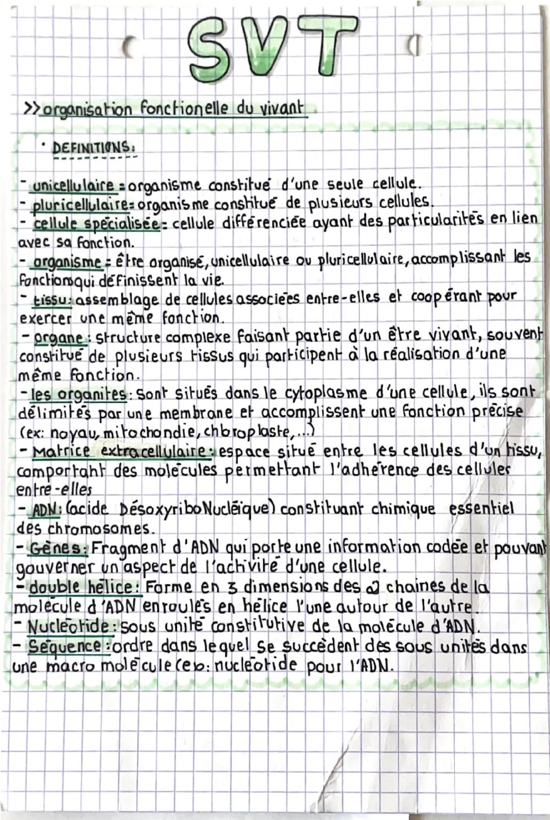 SVT
>organisation fonctionelle du vivant
DEFINITIONS.
unicellulaire organisme constitué d'une seule cellule.
pluricellulaire-organisme const