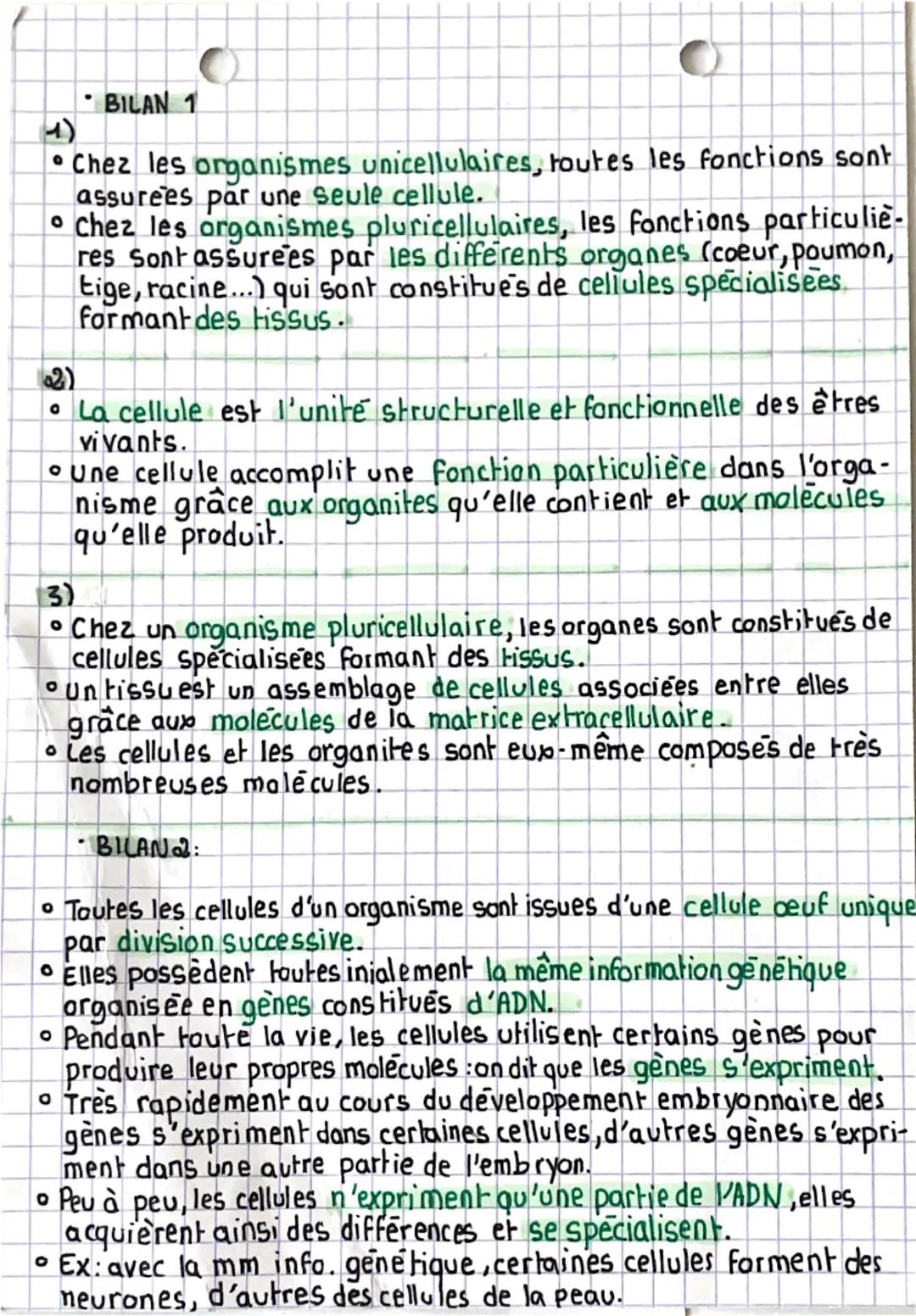 SVT
>organisation fonctionelle du vivant
DEFINITIONS.
unicellulaire organisme constitué d'une seule cellule.
pluricellulaire-organisme const
