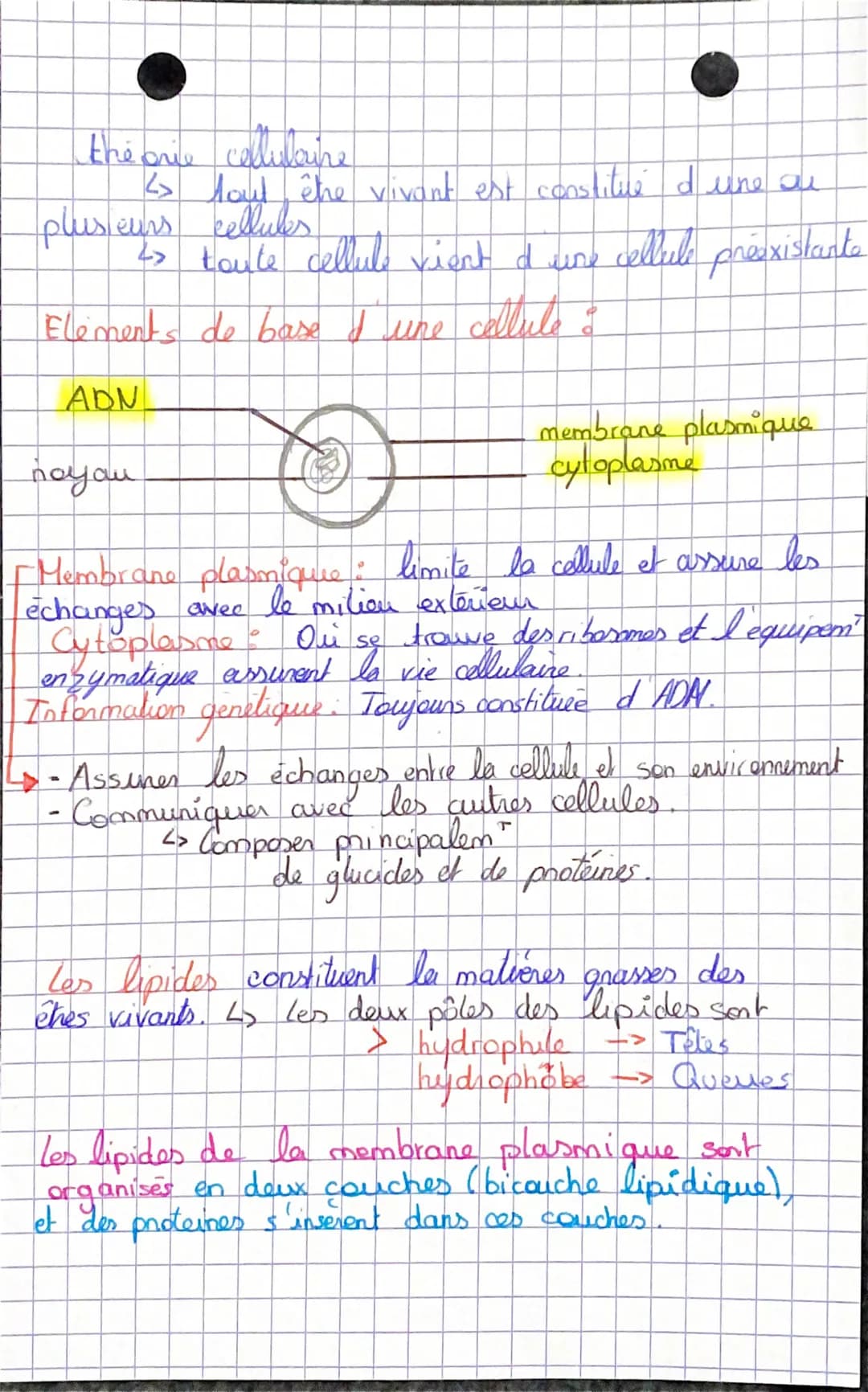 the prie cellulaire
<> tout êhe vivant est constitué d'une di
plusieurs cellules
2> toute cellule vient d'une cellule préexistanta
Elements 