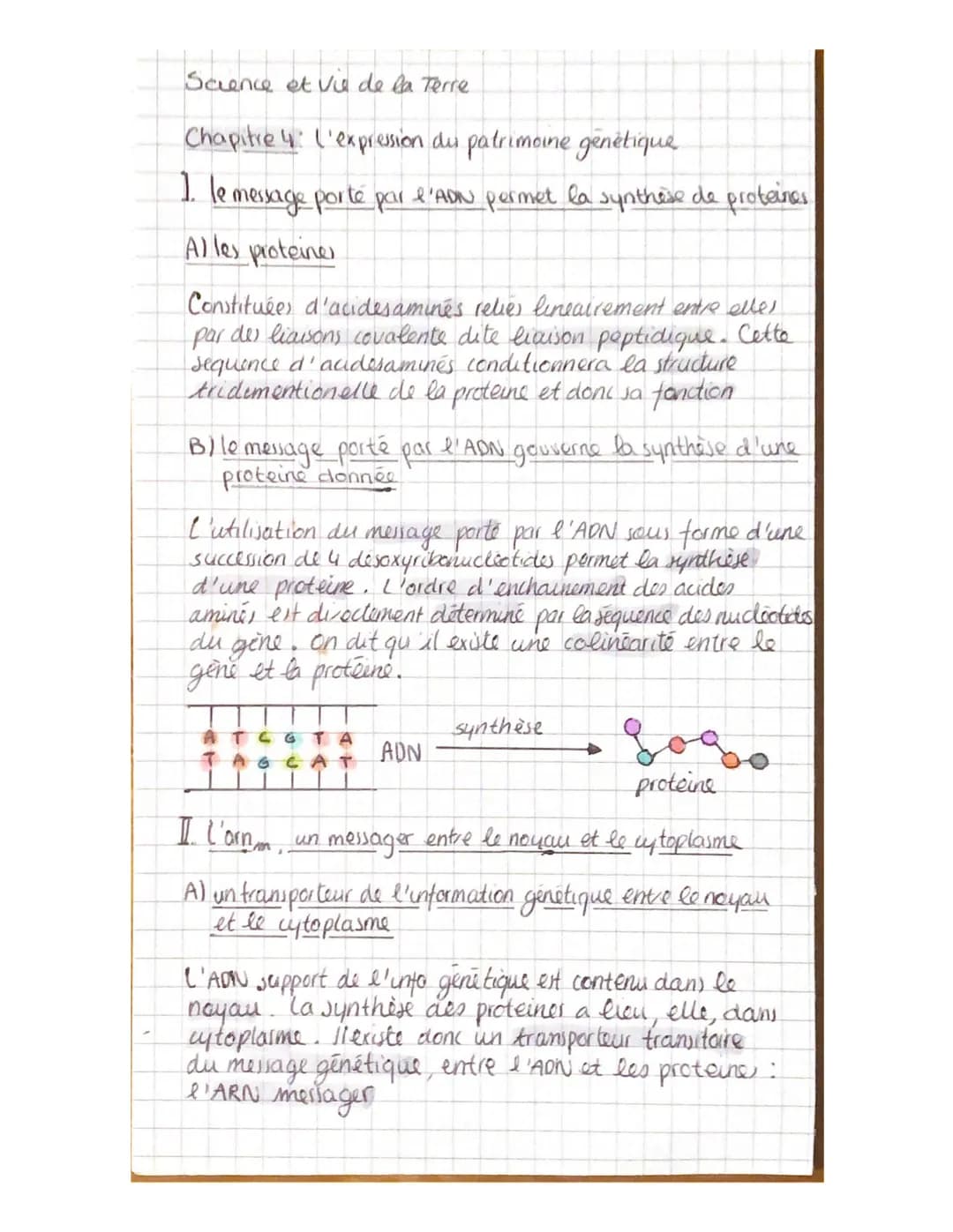 Science et vie de la Terre
Chapitre 4: L'expression du patrimoine génétique
1. le message porté par l'ADN permet la synthèse de proteines
Al