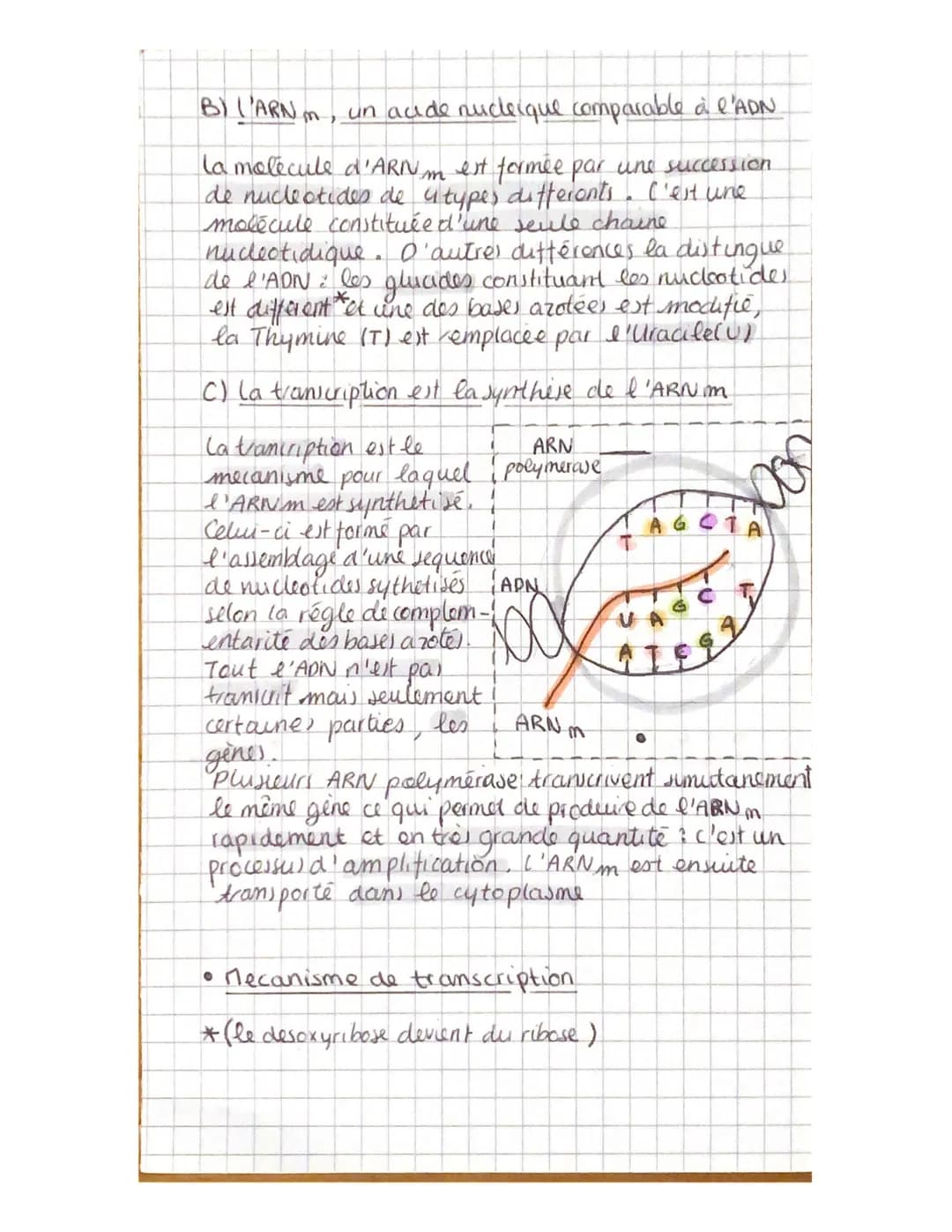 Science et vie de la Terre
Chapitre 4: L'expression du patrimoine génétique
1. le message porté par l'ADN permet la synthèse de proteines
Al