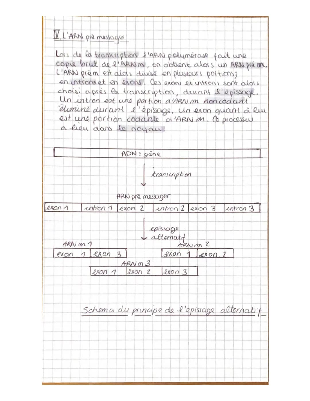 Science et vie de la Terre
Chapitre 4: L'expression du patrimoine génétique
1. le message porté par l'ADN permet la synthèse de proteines
Al