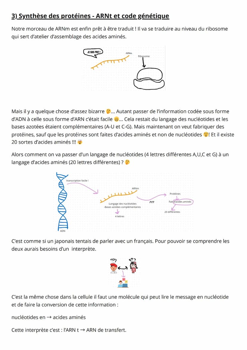 Spé SVT, Synthèse des protéines
1) La transcription
- L'ADN c'est LA molécule super importante pour la vie ! En plus elle est héréditaire : 