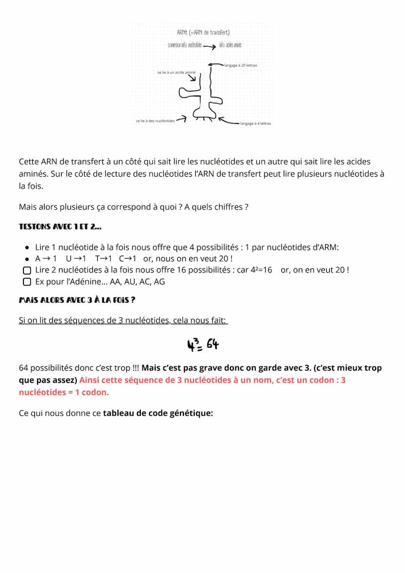 Spé SVT, Synthèse des protéines
1) La transcription
- L'ADN c'est LA molécule super importante pour la vie ! En plus elle est héréditaire : 