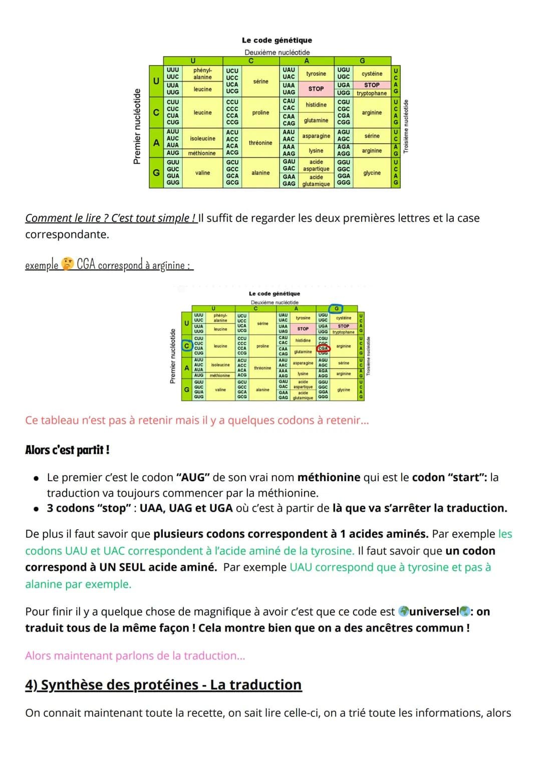Spé SVT, Synthèse des protéines
1) La transcription
- L'ADN c'est LA molécule super importante pour la vie ! En plus elle est héréditaire : 