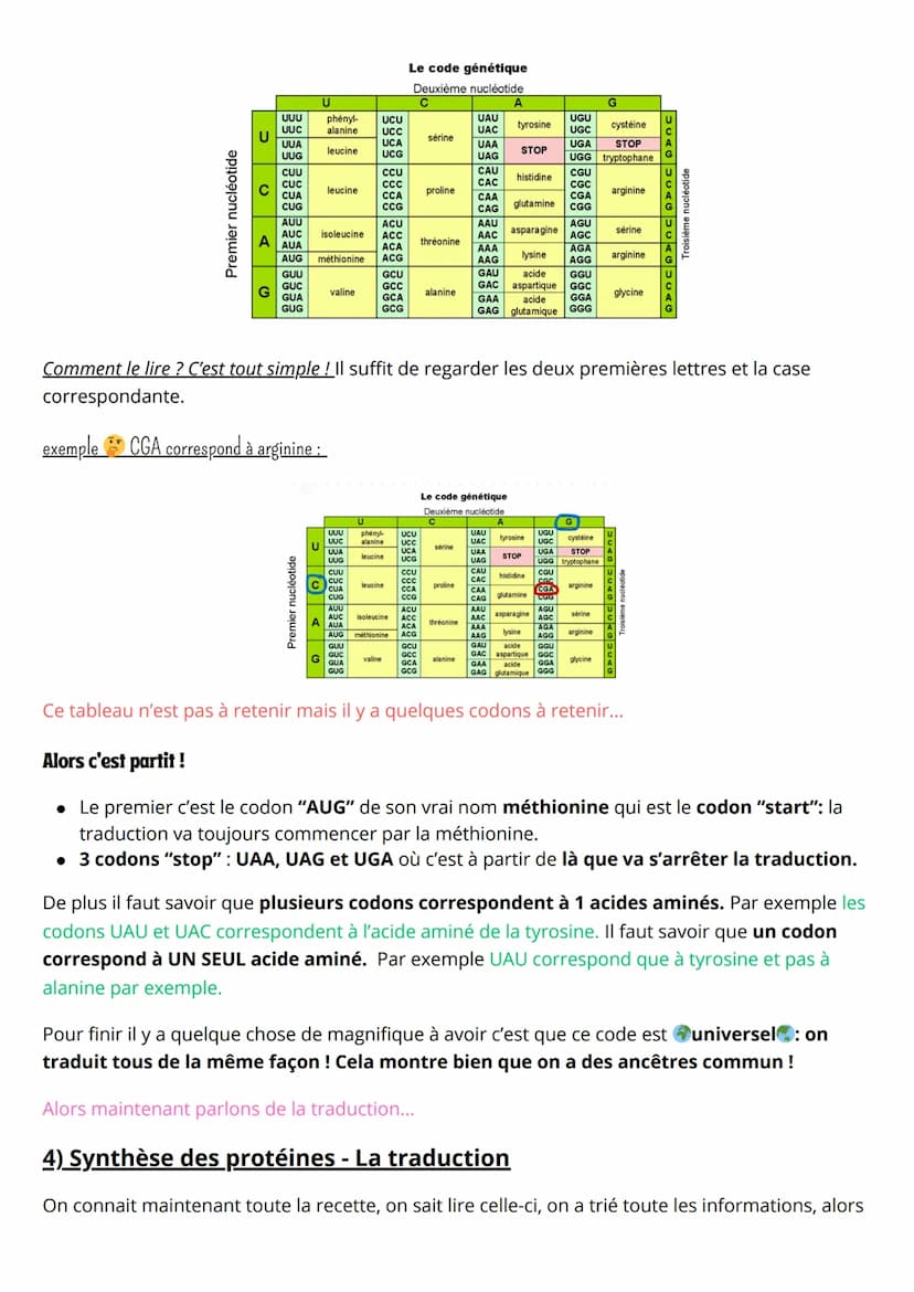 Spé SVT, Synthèse des protéines
1) La transcription
- L'ADN c'est LA molécule super importante pour la vie ! En plus elle est héréditaire : 