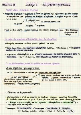 Know Enseignement scientifique: SVT - La photosynthèse chap 6 thumbnail