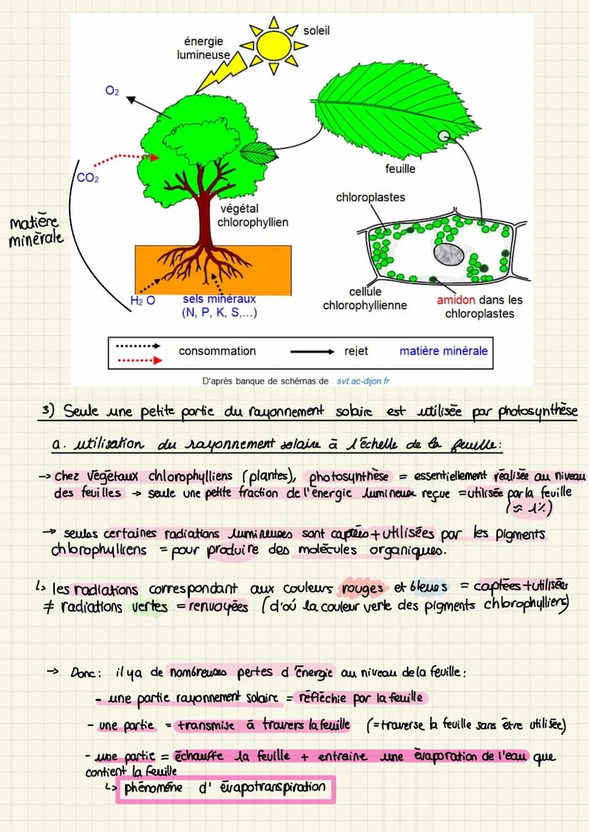 
<p>L'enseignement scientifique SVT en terminale est un sujet très important pour les étudiants. Il couvre de nombreux aspects du monde l'en
