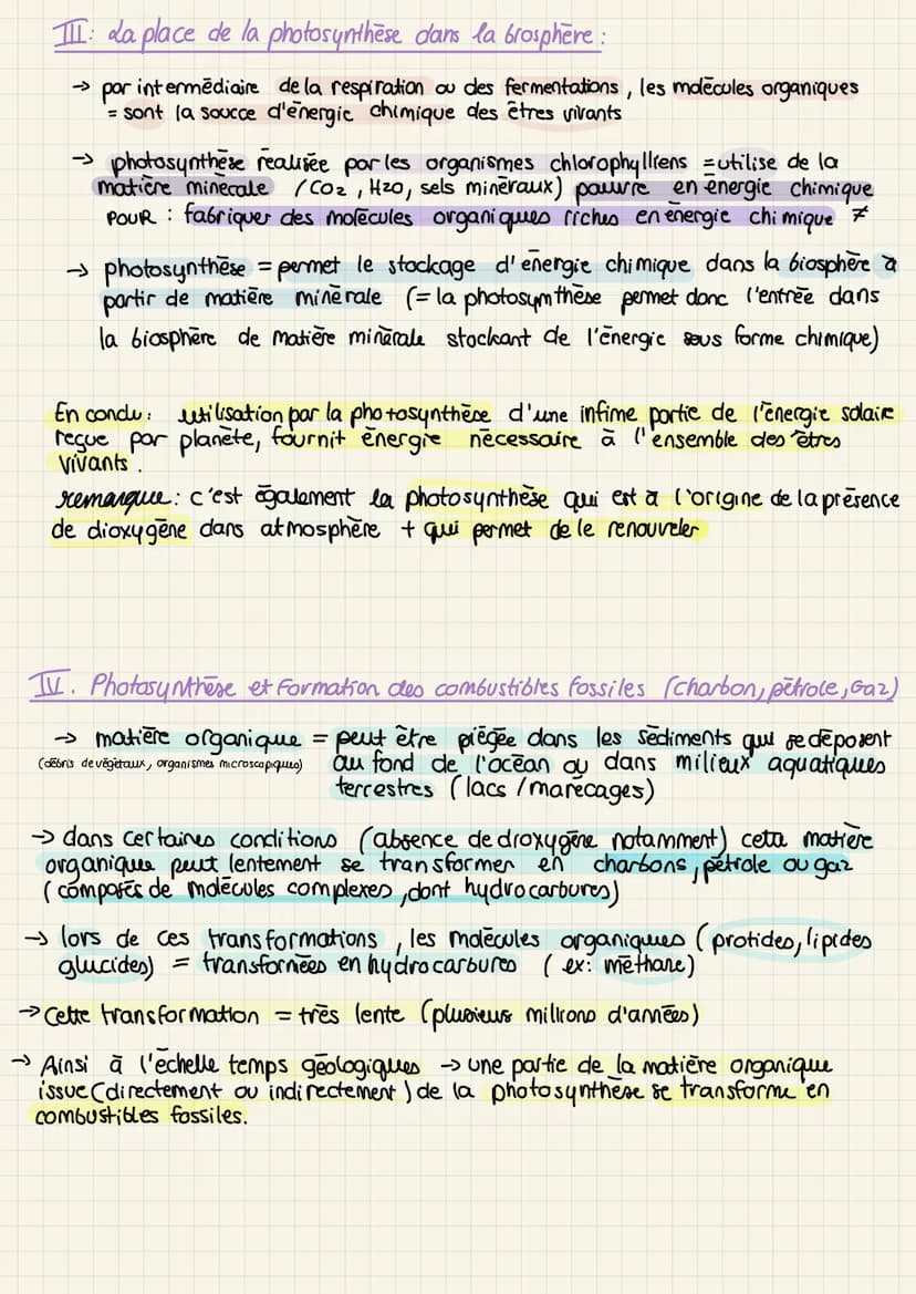 
<p>L'enseignement scientifique SVT en terminale est un sujet très important pour les étudiants. Il couvre de nombreux aspects du monde l'en