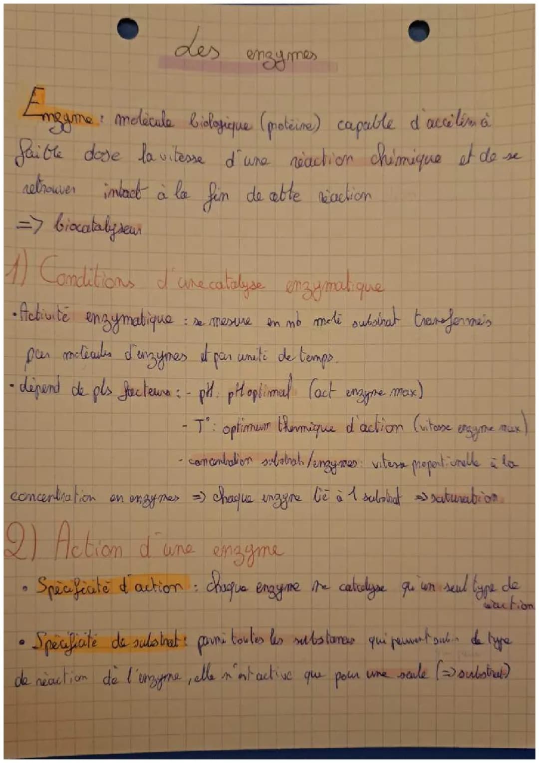Tout sur les enzymes : conditions, spécificité et complexe enzyme-substrat
