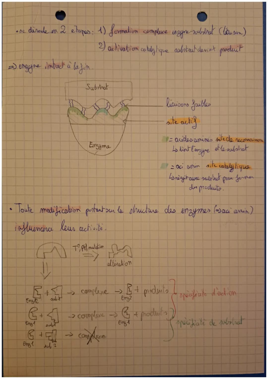 Les
enzymes
Emgyme
.: molecule biologique (proteine) capable d'accélém à
faible dose la vitesse d'une réaction chimique et de se
retrouver i
