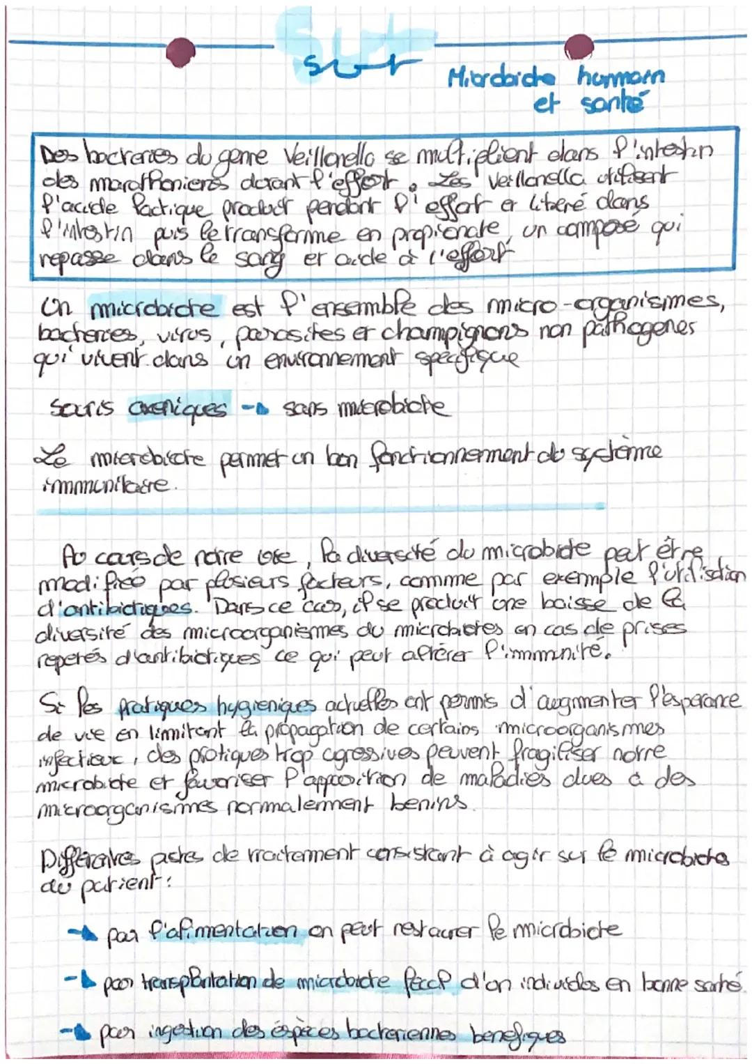 Comment le microbiote intestinal aide les marathoniens : Alimentation, diversité et transplantation fécale