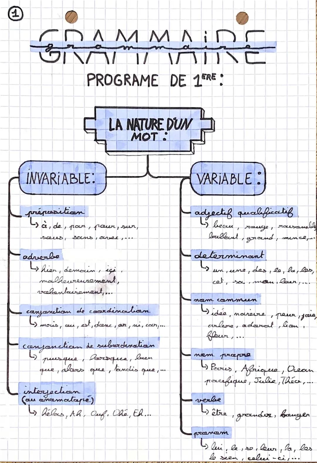 Grammaire 1ère : Nature des mots et exercices