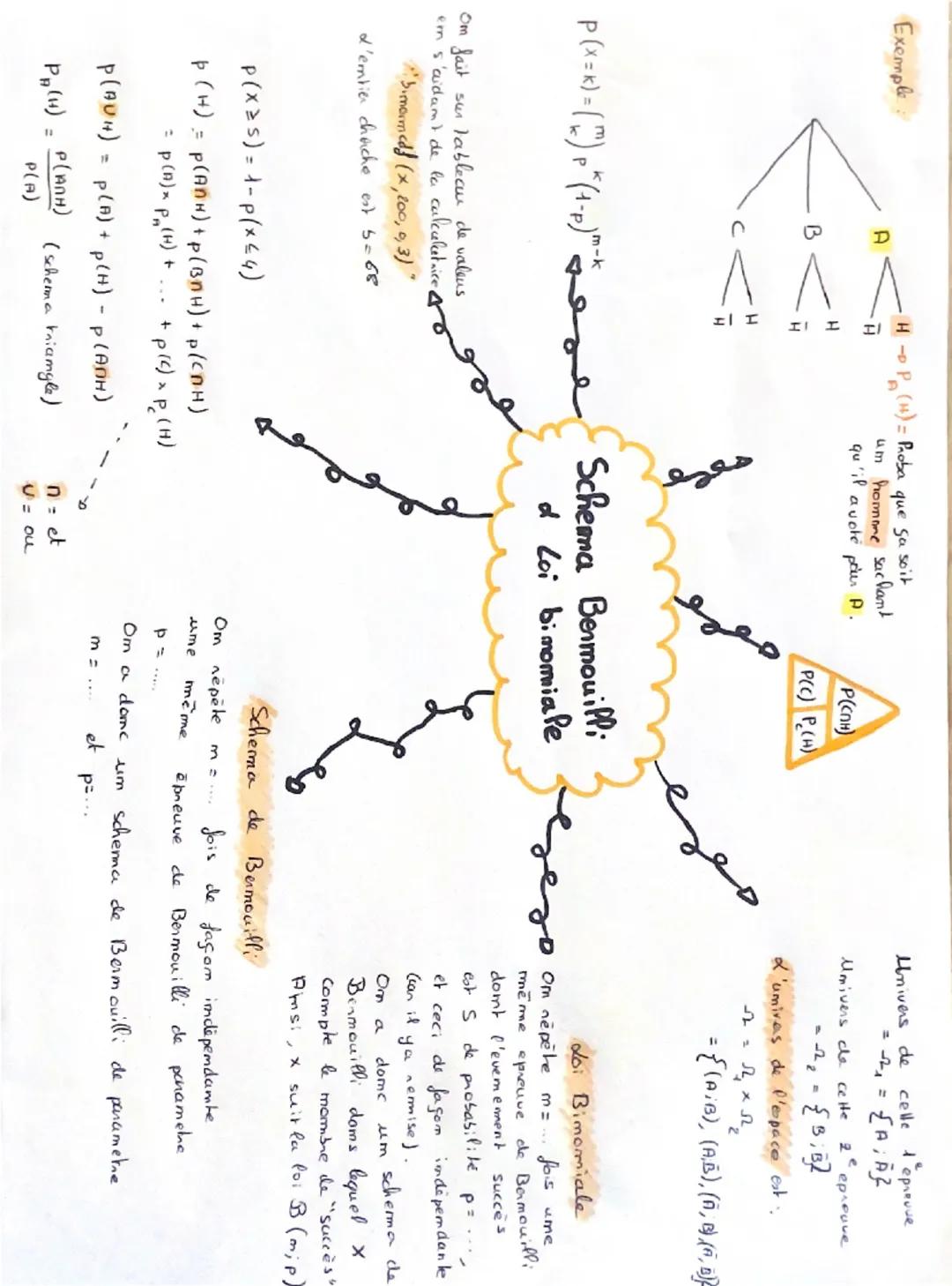 Exemple

HP (4) Proba que sa soit

A
um homone sachant
qu'il a vote pour A.

Р(Спн)

H
B
P(C) P(H)

H
C

エコ
H

Univers de celle t'épreuve
==