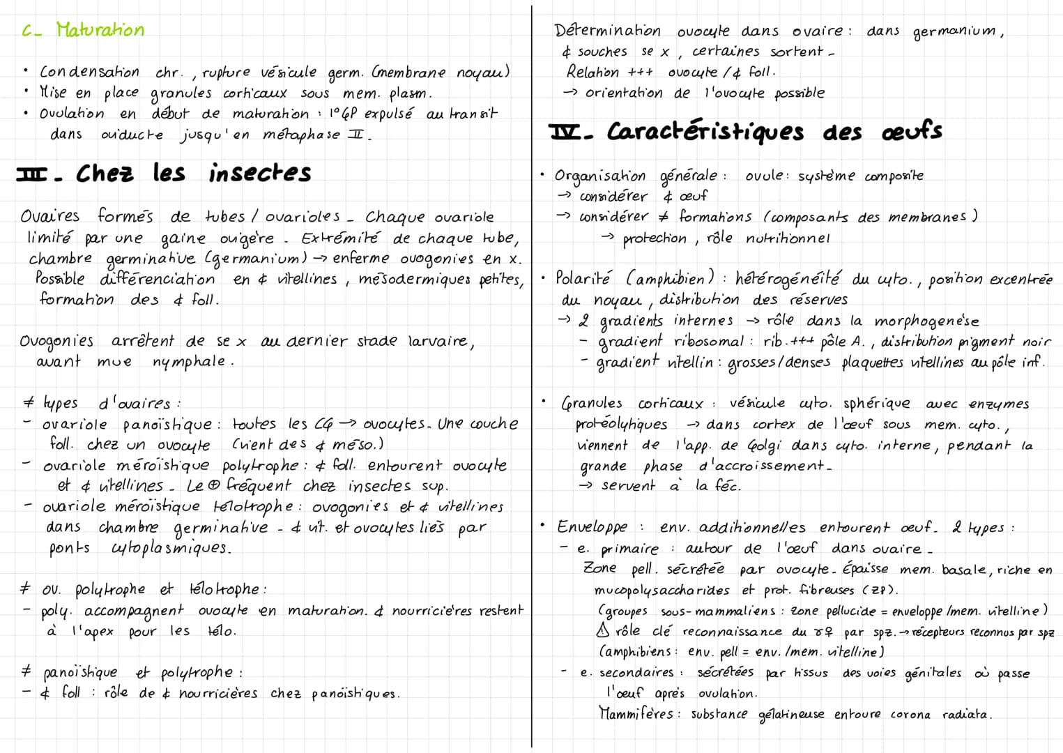 I- Chez vertébrés sup.
A- Generalites
Chez tous les métazoaires & fournissent 1/2 du génome et essentiel
du matériel cyto. de la & œuf et de