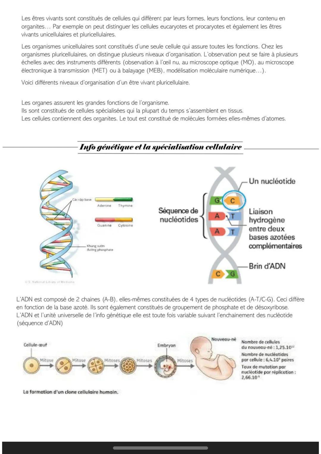 Organite cellulaire
Etre vivant unicellulaire
Être vivant pluricellulaire
Cellule procaryote
Cellule eucaryote
Membrane plasmique
Noyau
Grou