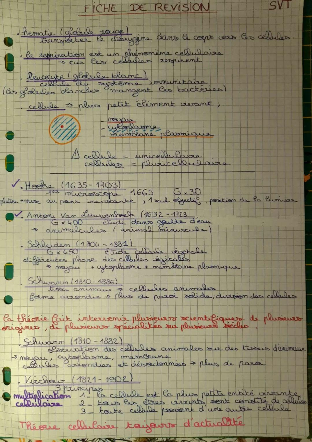 # FICHE DE REVISION
SVT
- Phematie (globule rouge)
transporter le dioxygène dans le corps vers Ces cellules.
- la reppiration est un phénomè