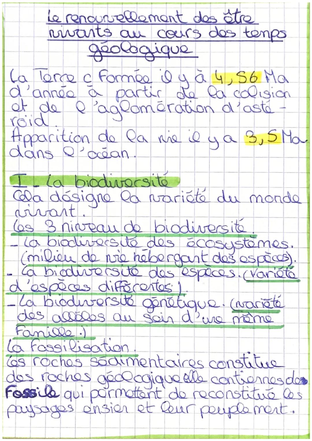 Le renouvellement des être
riwarts au cours des temps
géologique

La Torre c ¿ formée il y a 4, 56 Ma
'année à partir de la colision
et de l