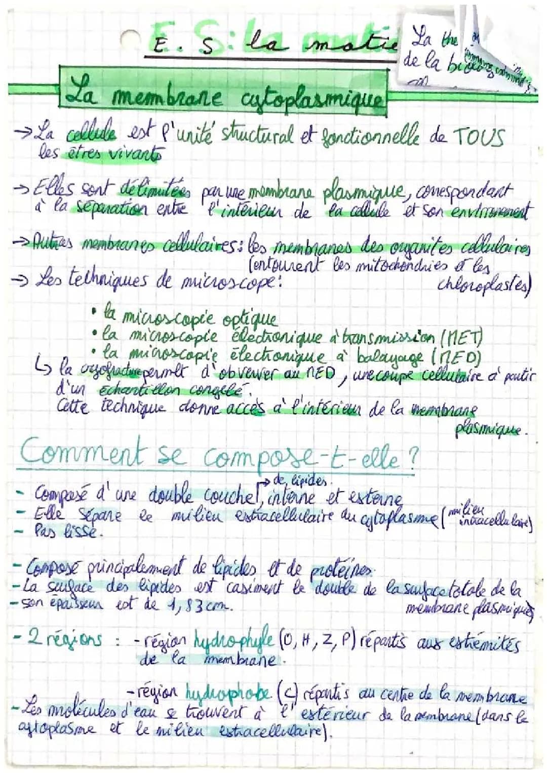 Découvre la structure cool de la membrane cellulaire en utilisant des microscopes
