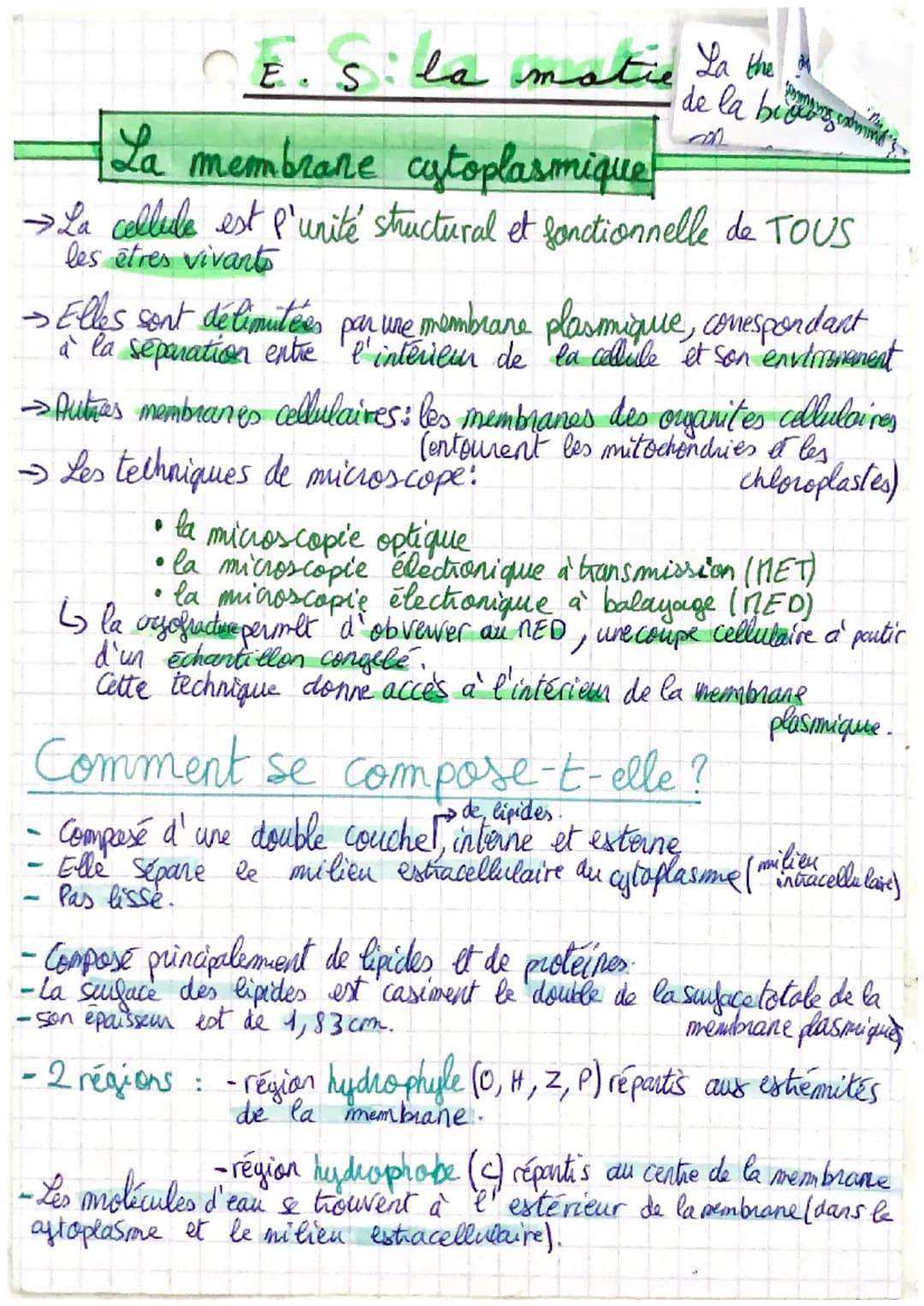 E. S. la matie La the
La membrane cytoplasmique
→ La cellule est l'unité structural et fonctionnelle de TOUS
les êtres vivants
- Elles sont 